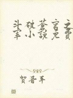 斗破苍穹之大主宰小说免费阅读全文封面