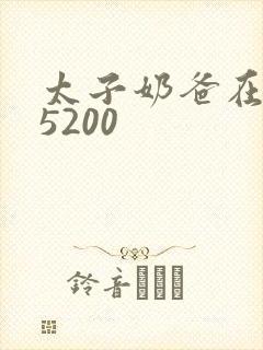 太子奶爸在花都5200封面