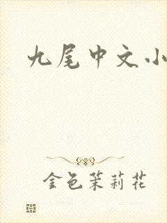 九尾中文小说网封面