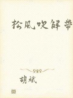 松风吹解带封面
