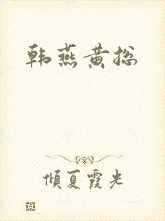 韩燕黄总封面