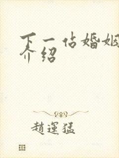 下一站婚姻剧情介绍