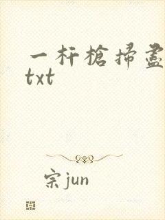 一杆枪扫尽全家txt