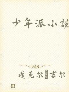 少年派小说