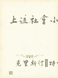 上流社会小说封面