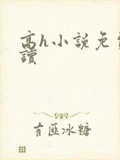 高h小说免费阅读封面