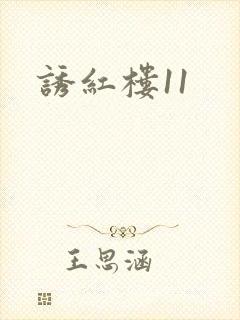 诱红楼11