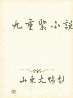 九重紫小说