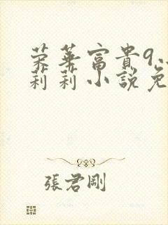 荣华富贵9小王莉莉小说免费阅读