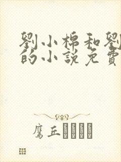 刘小棉和刘易文的小说免费阅读