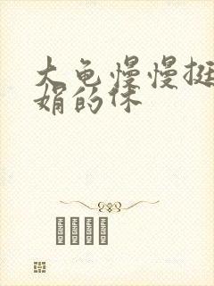 大龟慢慢挺进张娟的休