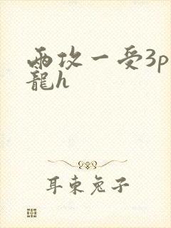 两攻一受3p双龙h