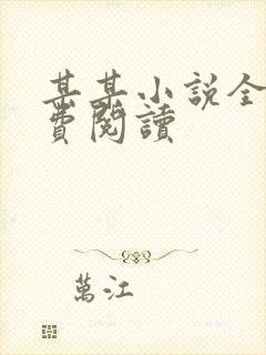 某某小说全文免费阅读封面