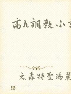 高h调教小说封面