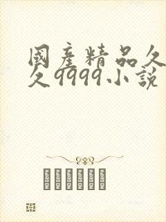 国产精品久久久久9999小说