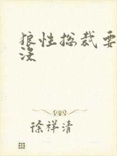 狼性总裁要够了没封面