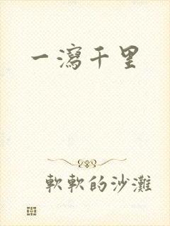 一泻千里封面