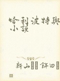 哈利波特与密室小说