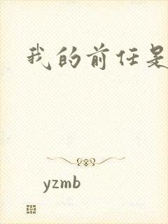 我的前任是极品