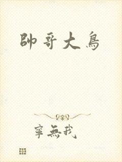 帅哥大鸟