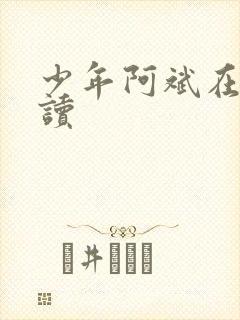 少年阿斌在线阅读