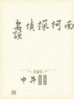 名侦探柯南h小说