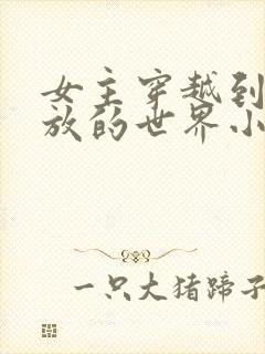 女主穿越到很开放的世界小说