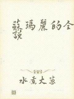 苏玛丽的全部小说