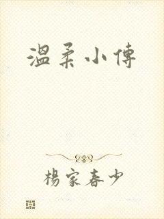 温柔小传