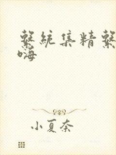 系统集精系统高嗨