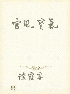 官风宝气封面