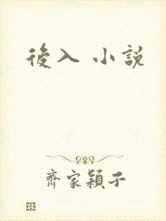 后入 小说封面