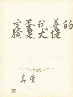 完蛋我养的小白脸是大佬