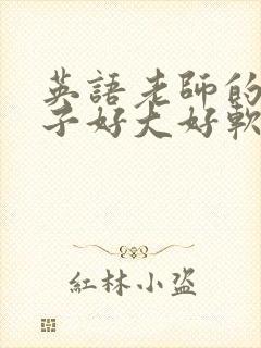 英语老师的小兔子好大好软水