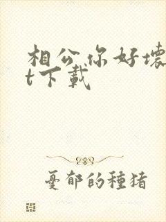 相公你好坏txt下载