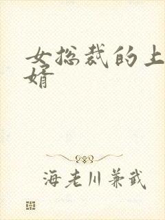 女总裁的上门女婿