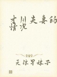 才川夫妻的恋爱情况