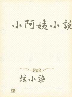 小阿姨小说