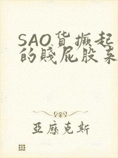 SAO货撅起你的贱屁股来封面