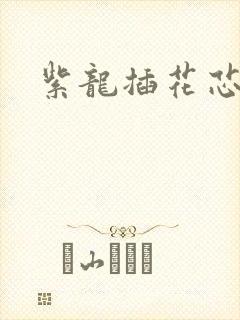 紫龙插花芯方正封面