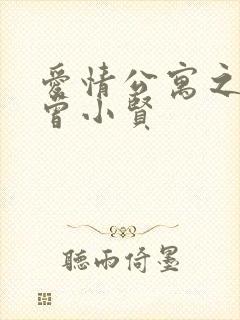 爱情公寓之极品曾小贤