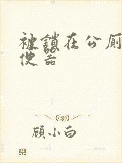 被锁在公厕当坐便器