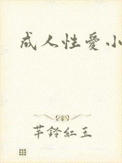 成人性爱小说封面