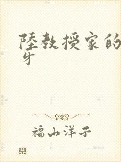 陆教授家的小月牙