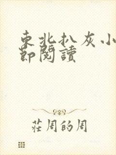 东北扒灰小说分节阅读封面