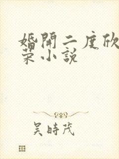婚开二度欣欣向荣小说