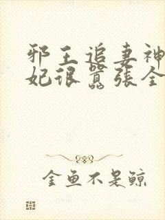 邪王追妻神医狂妃很嚣张全文免费封面