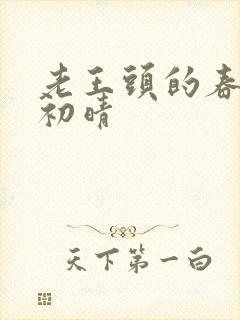 老王头的春天林初晴