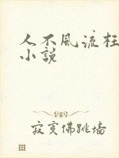 人不风流枉少年小说