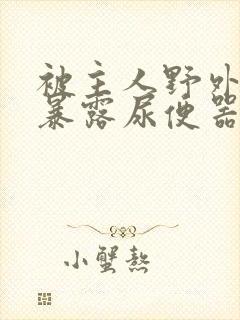 被主人野外调教暴露尿便器